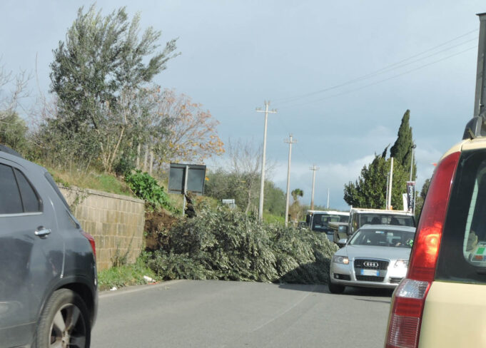 Castelli Romani interventi vigili del fuoco (2)