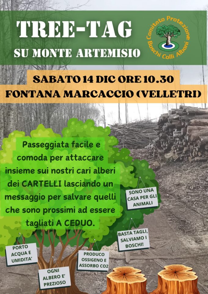 tree tag su monte artemisio