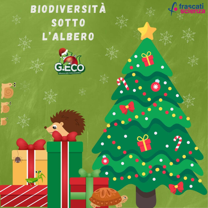 Frascati, laboratori educativi per grandi e piccoli sotto l'albero