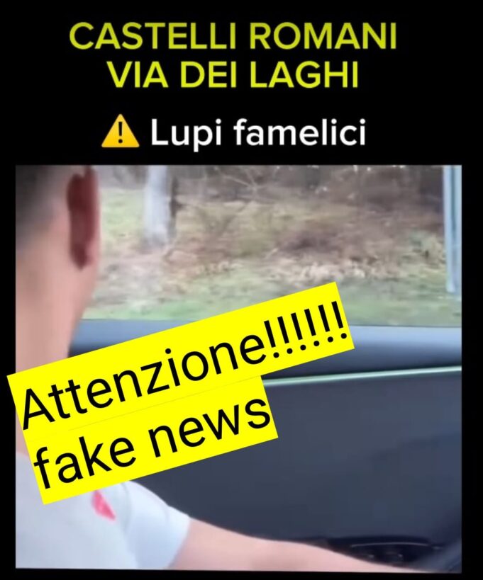 fake news attacco lupi