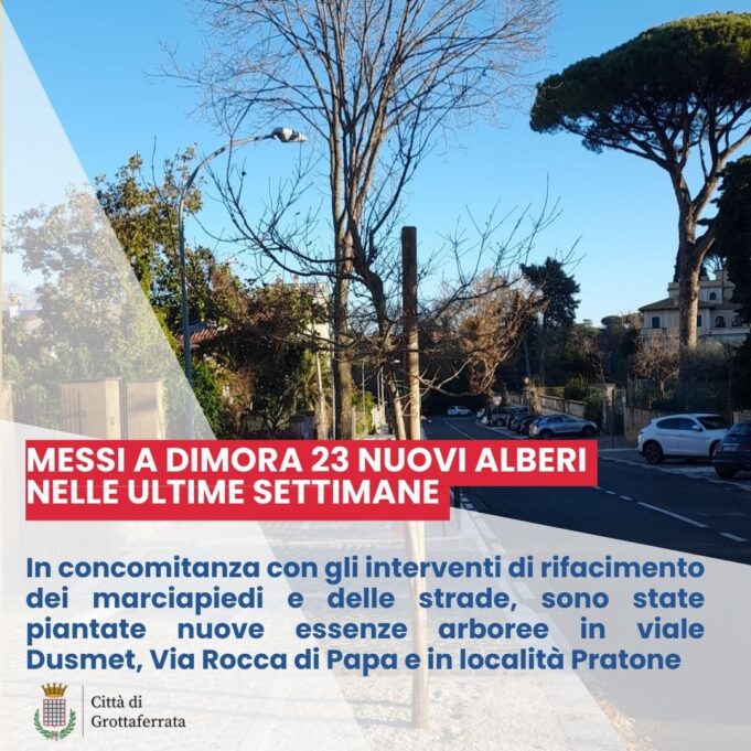 grottaferrata messi a dimore 23 alberi