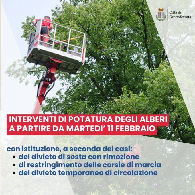 grottaferrata pronto il programma potatura degli alberi